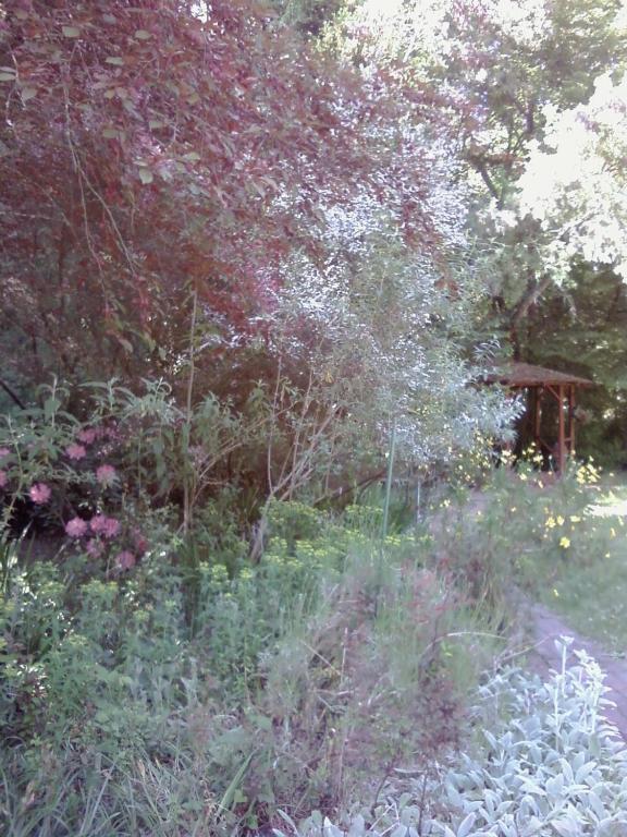 Fairview Manor Bed And Breakfast Ben Lomond Екстериор снимка